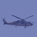 Pikpik pilotさんのプロフィール画像