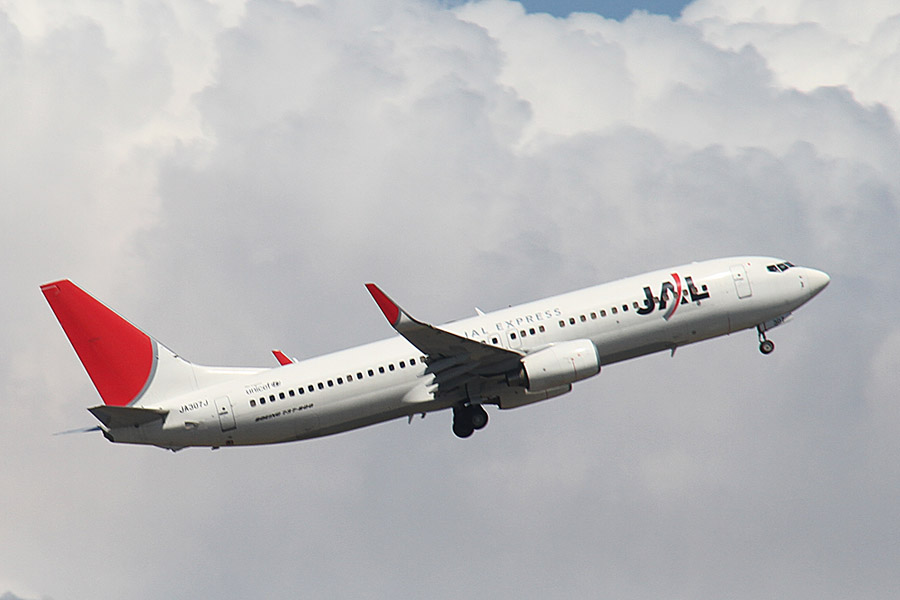 JAL Boeing 737-800 アーク塗装モデル 1/200 ホーガン JAL Boeing 737-800 アーク塗装モデル 1/200 ホーガン - メルカリ