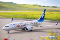 東北FLOWER JET」特別塗装機 全日空 (737-800 | JA85AN) ガイド