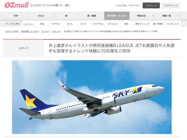 スカイマーク、特別塗装機「B.LEAGUE JET」を3月に就航 | FlyTeam ニュース