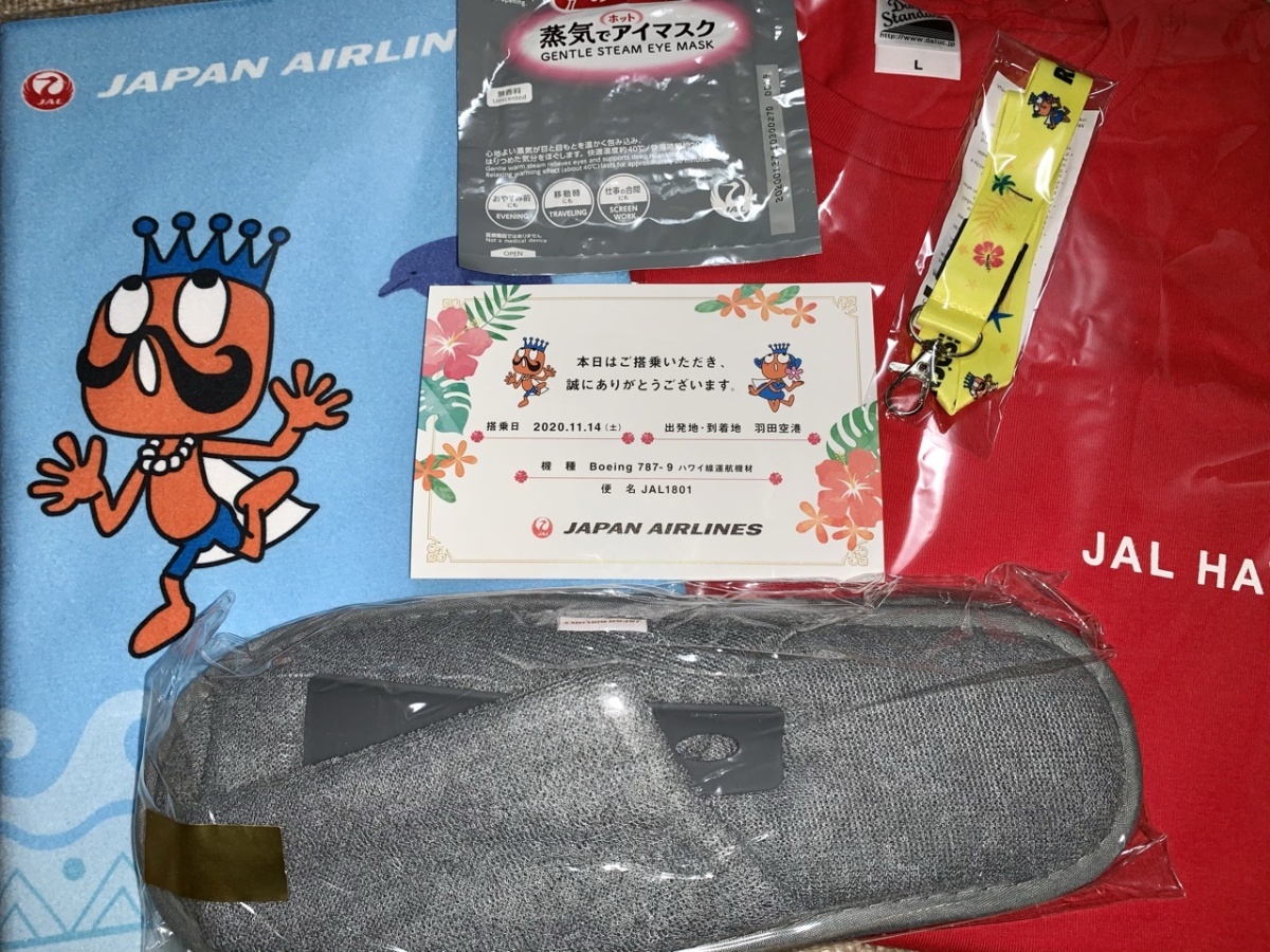 懐かしい「リゾッチャ号」 カラフルなJAL特別塗装機を振り返る