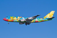 ニュース画像 8枚目：「お花ジャンボ」特別塗装機、747-400「JA8956」 (みなかもさん撮影)