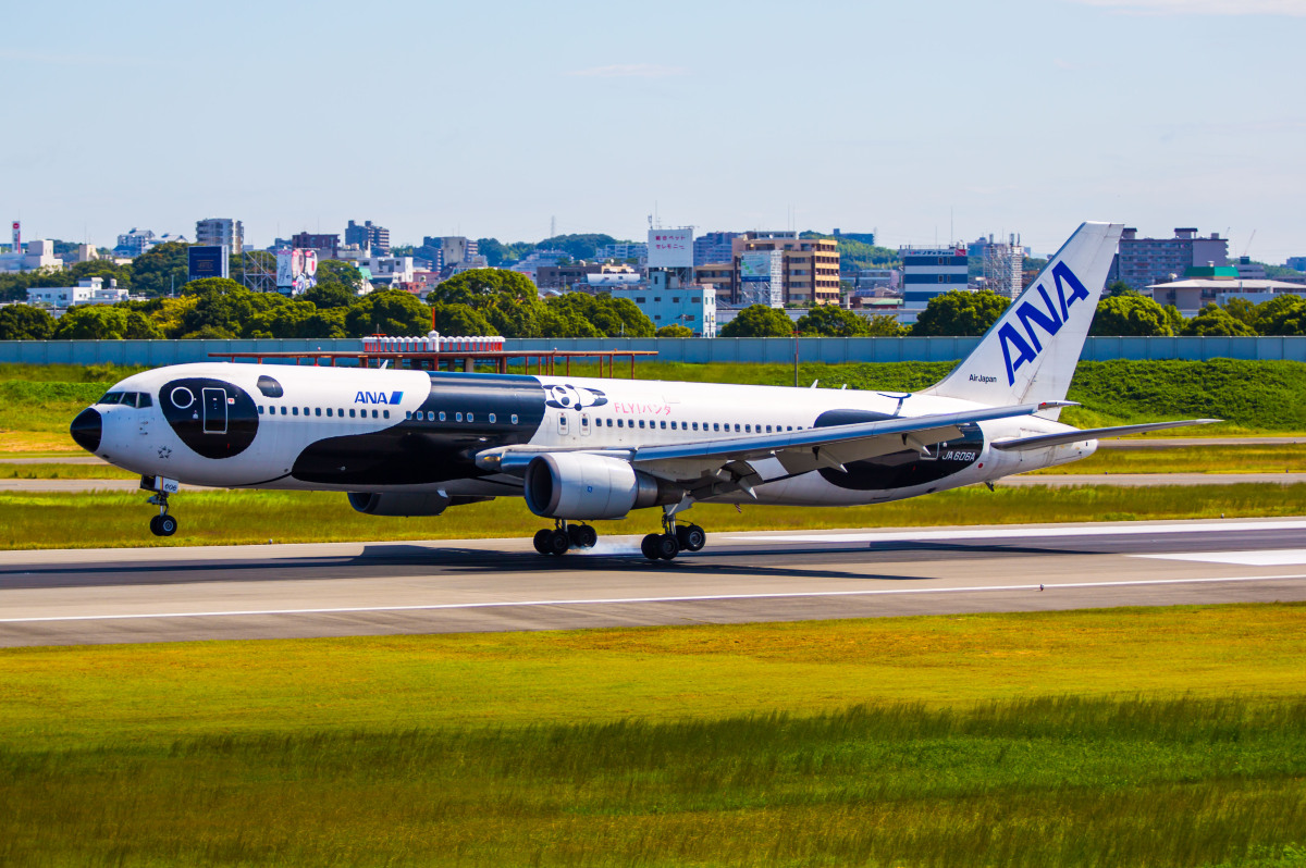 上野動物園「シンシン」おめでとう!! パンダ塗装機 振り返る | FlyTeam