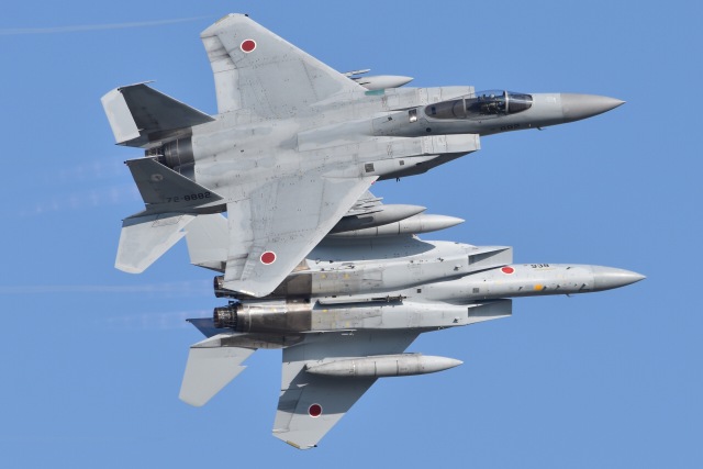 ビッグサイズ・F-15A イーグル ha4542-01.jpg?v=1724831313&