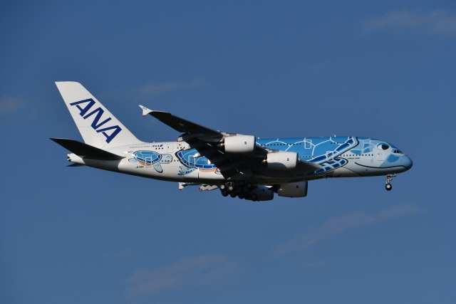 【8/25まで】 Phoenix ANA A380 フライングホヌ JA383A 8/25まで】 Phoenix ANA A380 フライングホヌ JA383A - メルカリ