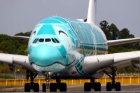 Yukiさんフライングホヌ✕3機まとめ9999 Yukiさんフライングホヌ✕3機まとめ9999 （ANA】重整備を終えて