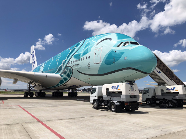 ANA エアバス A380 JA381A 1/200 NEW 1/200 A380 JA381A FLYING HONU ANA Blue Snap Fit Model