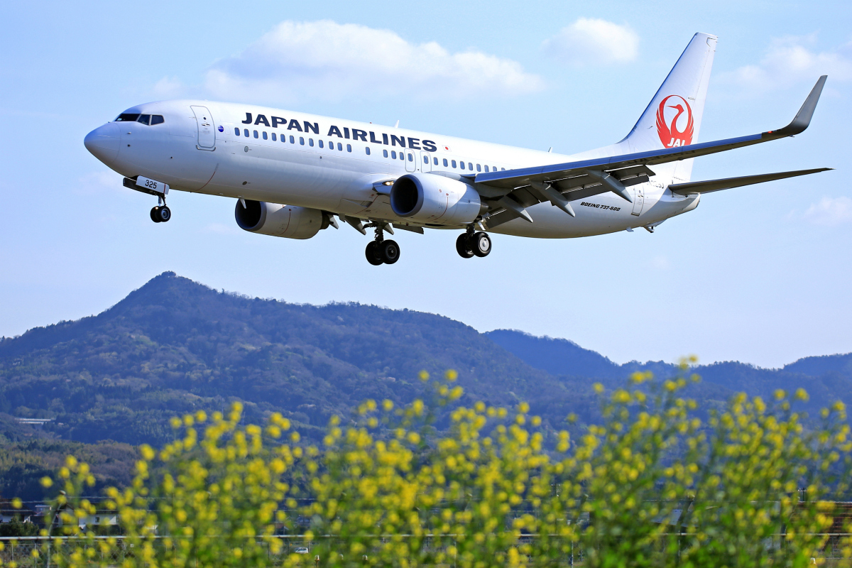 JAL 737-800 日本航空 JA329J おめでとう！世界文化遺産登録 JAL 737-800 日本航空 JA329J おめでとう！世界文化遺産登録