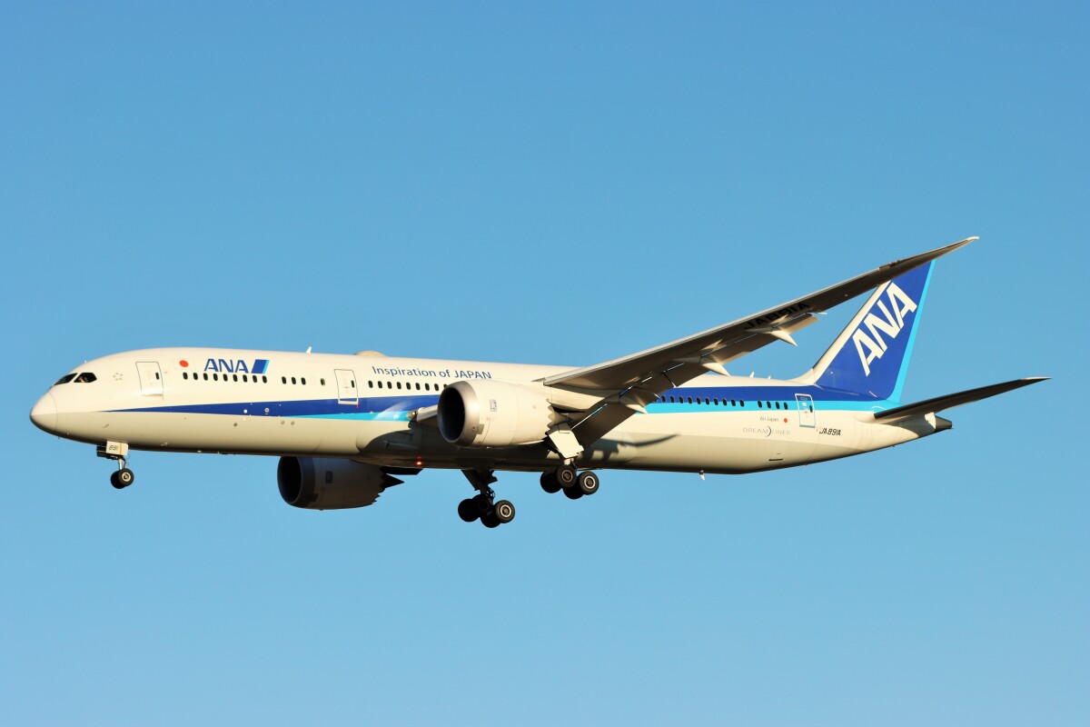ANA航空券 【行き】8月11日(金)ANA017 羽田09:00 →伊丹【帰り