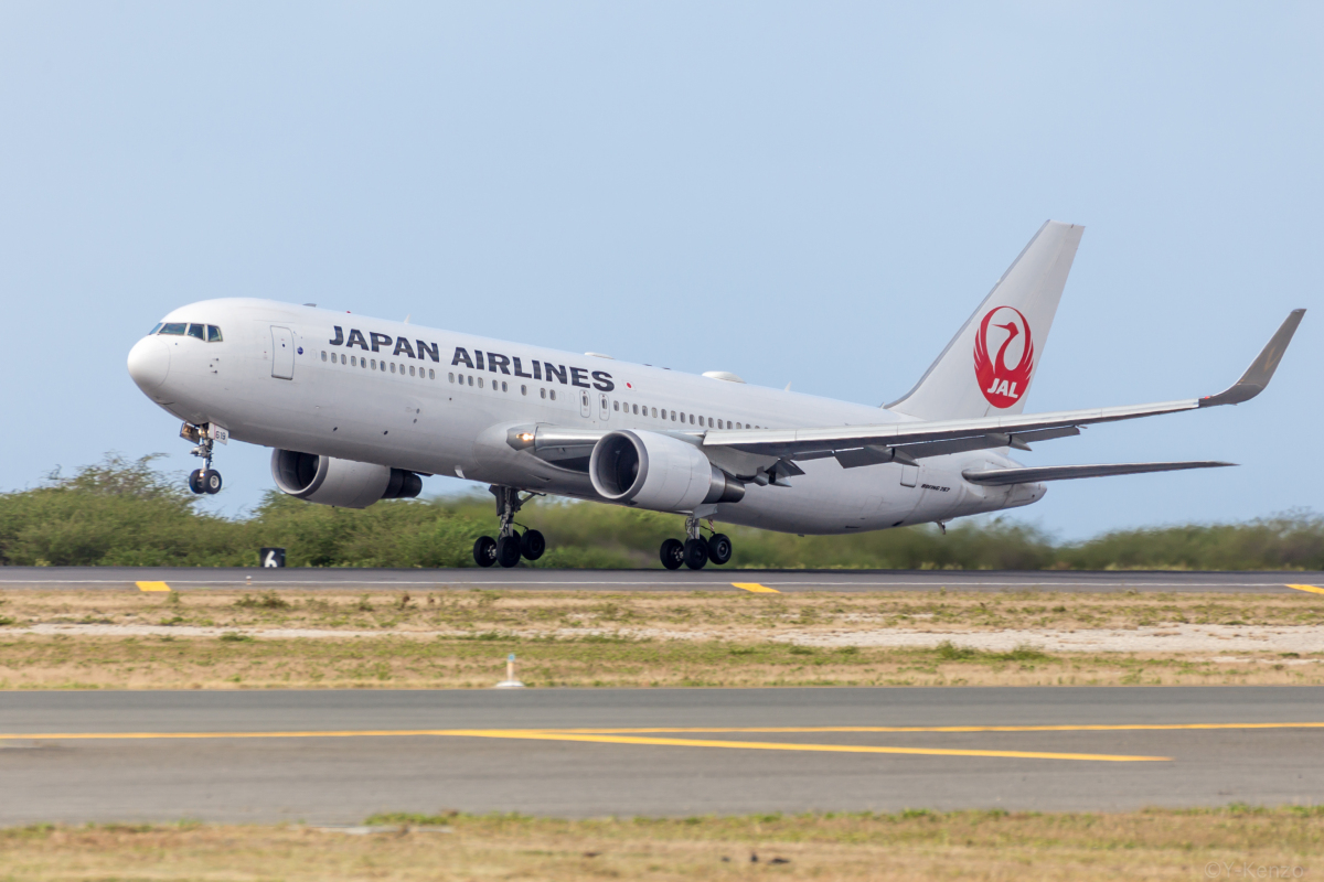 JAL、年末年始のハワイ路線 羽田・成田・関西・名古屋から運航