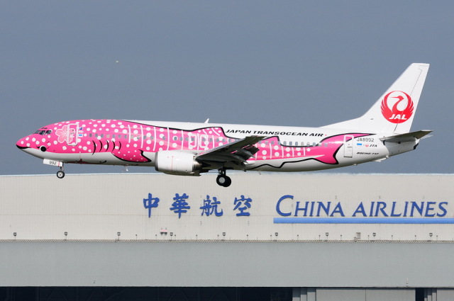 JTAサクラジンベエジェットB737-800 31lvCsfGzVL.jpg_BO30,255,255,