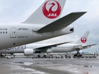 な*ん様 JCWings JAL 日本航空 B777-200ER JA703J Amazon | JC Wings 1:200 SA2043 Japan Airlines Boeing 777-200ER