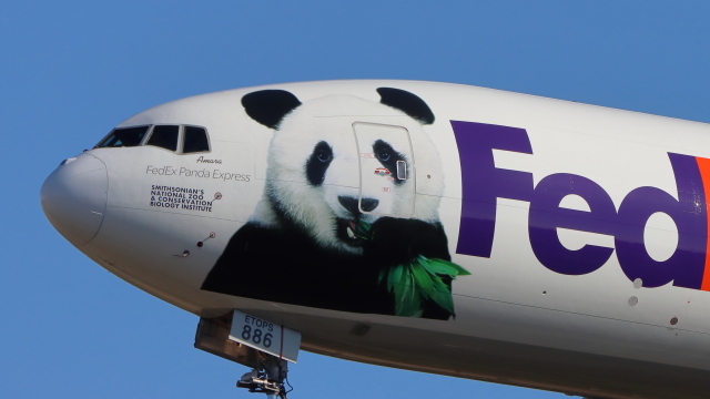 パンダ777ページ phoenix 777-300ER パンダデザイン 1/400 phoenix 777-300ER パンダ