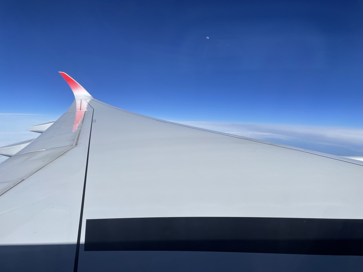 A350-900との違いは！？JAL新フラッグシップ「A350-1000」、どんな