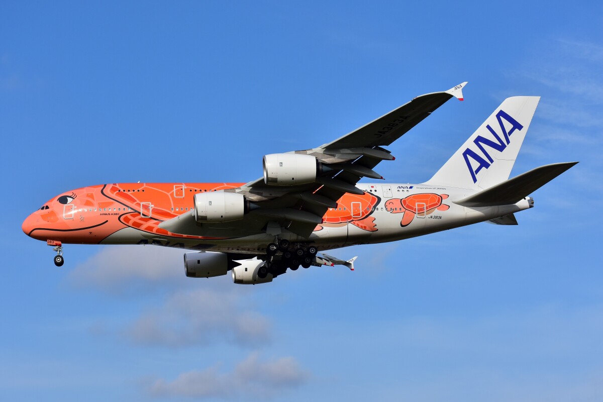 全日本空輸 Boein 787-9 【即日発送】 ボーイング787 日本初飛来 Part2: TFW Flight Recorder
