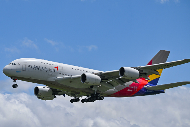 超レア❣️アシアナ航空　客室乗務員　バッグ (数量限定) 超レア❣️アシアナ航空 客室乗務員 バッグ (数量限定)
