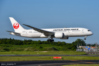 ニュース画像：JAL、中国線対象の特典航空券“50％オフ”キャンペーン 10月16〜31日開催