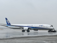 航空機・ヘリコプター yu ANA 787-10 JA981A JA983A NG 非売品・新商品情報】1/400 787-10 ANA JA983A | ひこーきちゃん