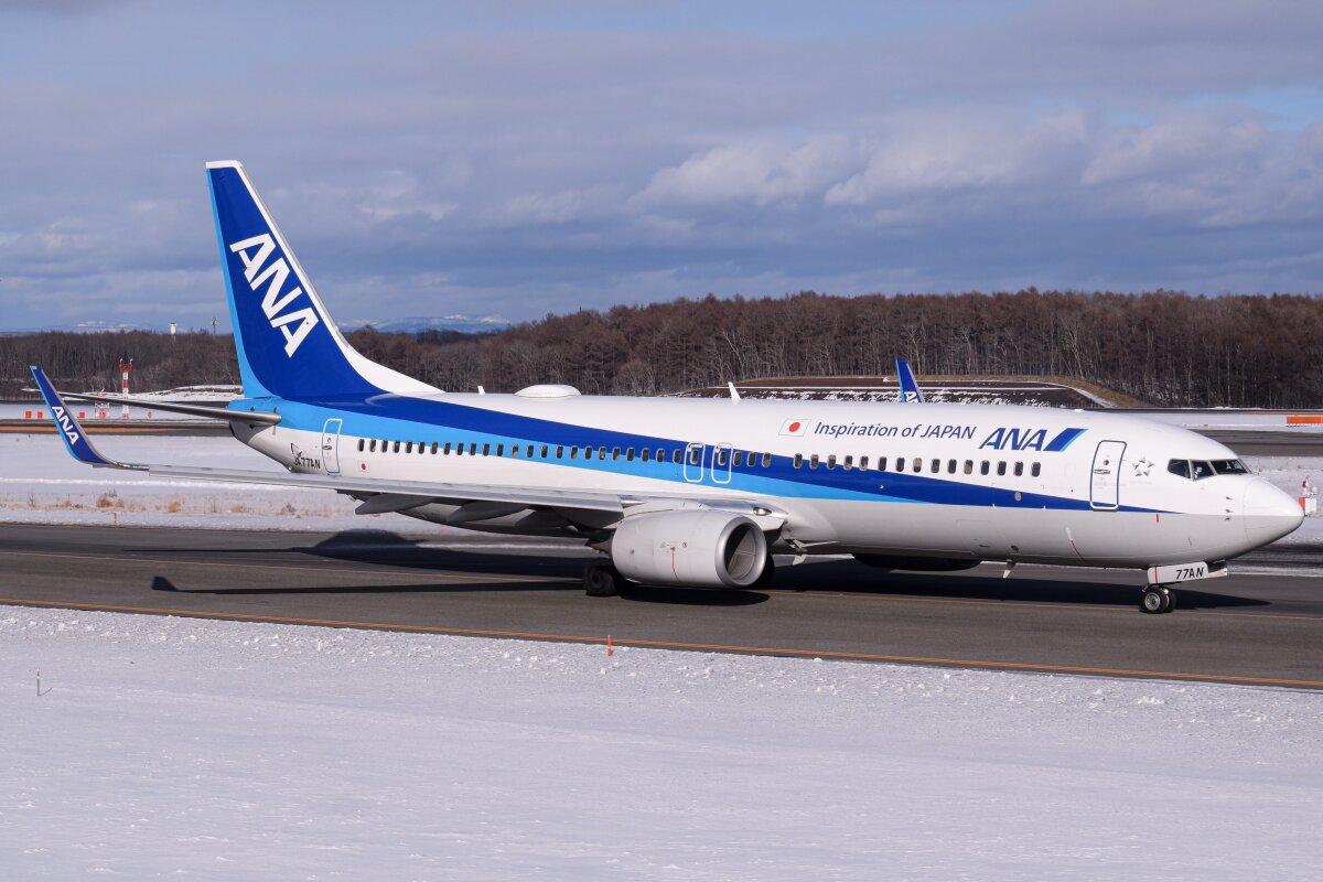 ANA 737-700 JA06AN 全日空 ボーイング 引退ロゴ NG Amazon.co.jp: ANA 737-700 JA06AN 全日空 ボーイング 引退ロゴ