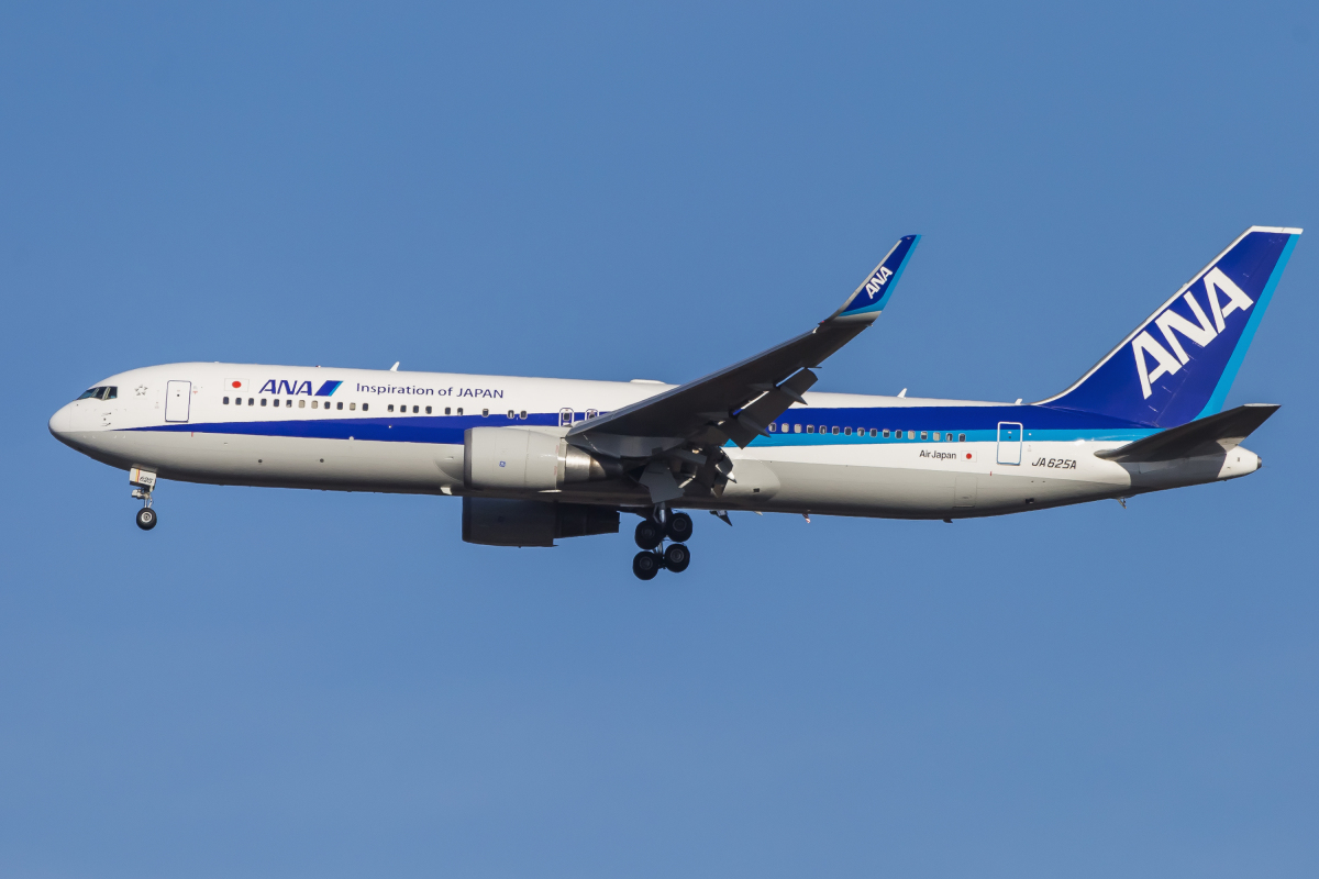 かがり火 ANA 787-10 JA981A JA983A NG w640.jpg