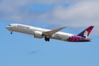 737-700 垂直尾翼にエスキモーおじさん アラスカ航空 ノーマル 垂直尾翼にエスキモーおじさん アラスカ航空 737-700 ノーマル
