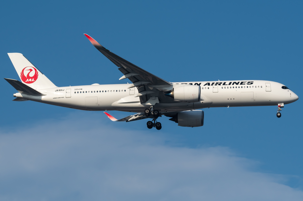 JTA、ジンベエジェットの737-400「JA8939」を抹消 | FlyTeam