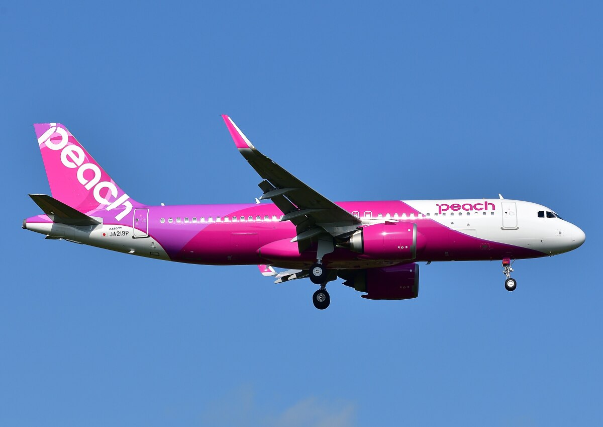 航空機登録 2025年9月】ANAの78X・ピーチのA320neoが新規登録 ジェット