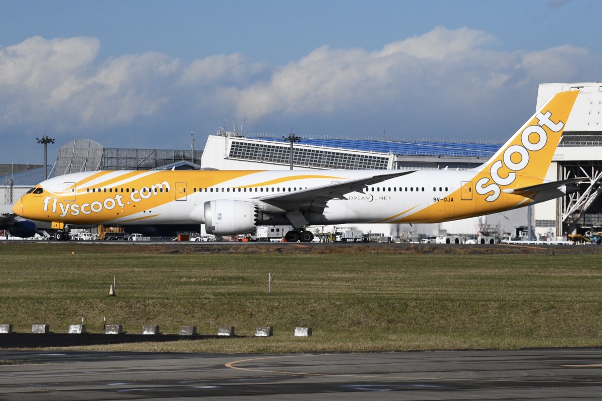 スクート、羽田・成田・関西・那覇線対象 ブラックフライデーセール