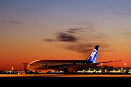 羽田空港 - Tokyo International Airport [HND/RJTT]で撮影された全日空 - All Nippon Airways [NH/ANA]の航空機写真