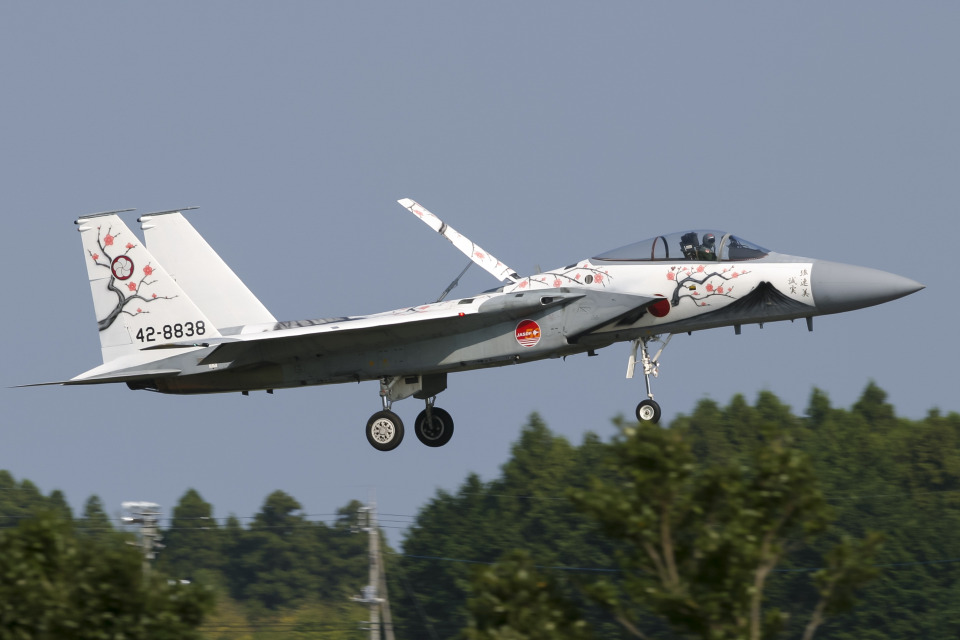 航空自衛隊 Mitsubishi F-15J Eagle 42-8838 茨城空港 航空
