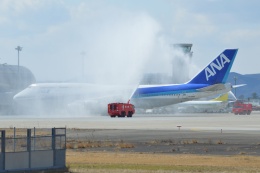 仙台空港 - Sendai Airport [SDJ/RJSS]で撮影された全日空 - All Nippon Airways [NH/ANA]の航空機写真