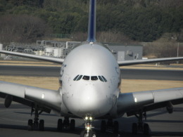 ANA STARALLIANCE　新潟さんが、成田国際空港で撮影したシンガポール航空 A380-841の航空フォト（飛行機 写真・画像）