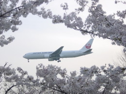 わたくんさんが、福岡空港で撮影した日本航空 767-346の航空フォト（飛行機 写真・画像）