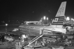 apphgさんが、羽田空港で撮影した日本航空 DC-8-53の航空フォト（飛行機 写真・画像）