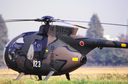 航空フォト：31123 陸上自衛隊 OH-6D