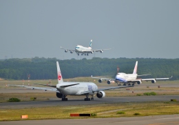 Cygnus00さんが、新千歳空港で撮影した日本航空 777-346の航空フォト（飛行機 写真・画像）