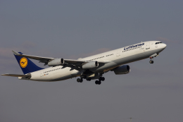 Bogeyさんが、成田国際空港で撮影したルフトハンザドイツ航空 A340-311の航空フォト（飛行機 写真・画像）