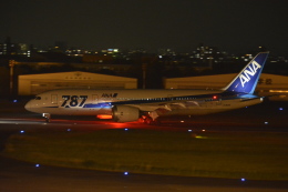 awayan-Sky-RJFM/KMIさんが、宮崎空港で撮影した全日空 787-8 Dreamlinerの航空フォト（飛行機 写真・画像）