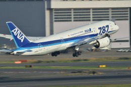 tsubasa0624さんが、羽田空港で撮影した全日空 787-8 Dreamlinerの航空フォト（飛行機 写真・画像）