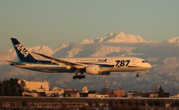 toyama1049さんが、富山空港で撮影した全日空 787-8 Dreamlinerの航空フォト（飛行機 写真・画像）