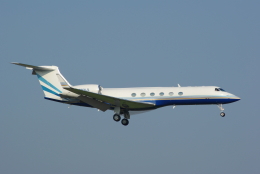 ホーチミンシーさんが、成田国際空港で撮影したラスベガス サンズ G-V Gulfstream Vの航空フォト（飛行機 写真・画像）