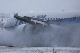 toyama1049さんが、富山空港で撮影した全日空 787-8 Dreamlinerの航空フォト（飛行機 写真・画像）