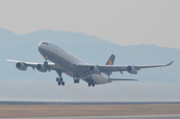 shining star ✈さんが、関西国際空港で撮影したルフトハンザドイツ航空 A340-311の航空フォト（飛行機 写真・画像）