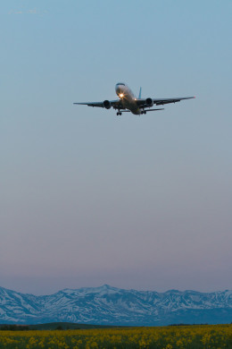 NaoAkimotoさんが、旭川空港で撮影したAIR DO 767-33A/ERの航空フォト（飛行機 写真・画像）