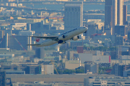 kaniebiさんが、伊丹空港で撮影した日本航空 777-289の航空フォト（飛行機 写真・画像）