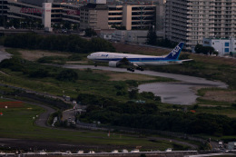 kaniebiさんが、伊丹空港で撮影した全日空 777-281の航空フォト（飛行機 写真・画像）