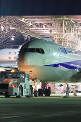 伊丹空港 - Osaka International Airport [ITM/RJOO]で撮影された全日空 - All Nippon Airways [NH/ANA]の航空機写真