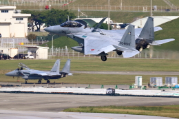 那覇空港 - Naha Airport [OKA/ROAH]で撮影された航空自衛隊 - Japan Air Self-Defense Forceの航空機写真