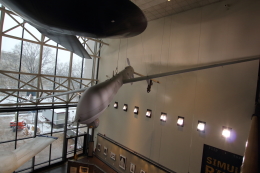 Koenig117さんが、National Air and Space Museumで撮影したアメリカ空軍 MQ-1L Predatorの航空フォト（飛行機 写真・画像）