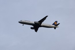 masa707さんが、フランクフルト国際空港で撮影したルフトハンザドイツ航空 A321-231の航空フォト（飛行機 写真・画像）
